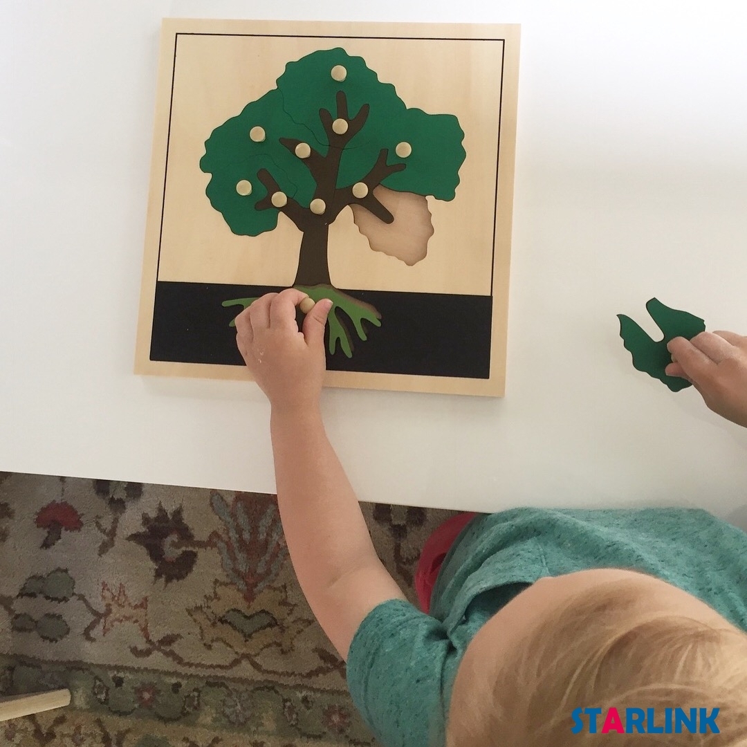 Baby Educational Montessori Wooden Jigsaw Puzzle Tree Puzzle Kids Toy Play Fun
