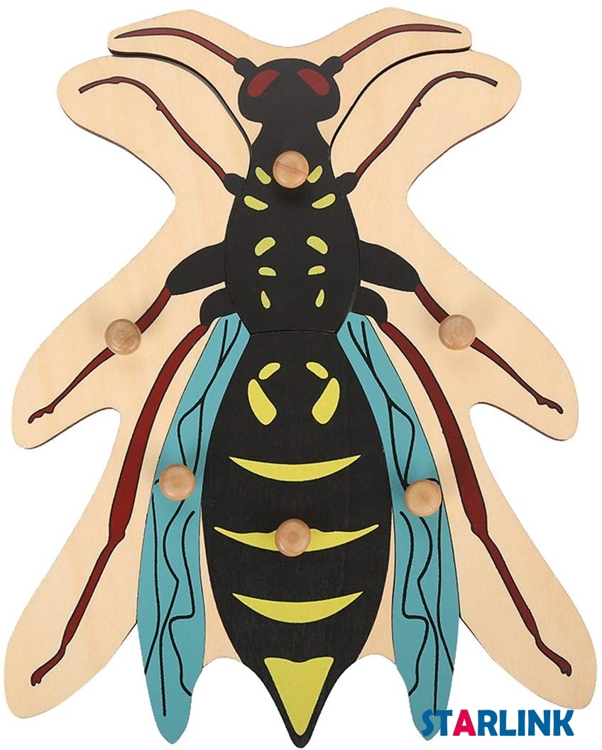Montessori Materials Educational Tools Insect Wasp Puzzle Preschool Early Montessori Toys for Toddlers