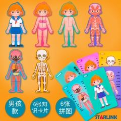 Children Body Cognition Wooden Puzzle Boy Girl Grow up Body Structure Anatomy Jigsaw Puzzles Montessori Toys for Toddlers