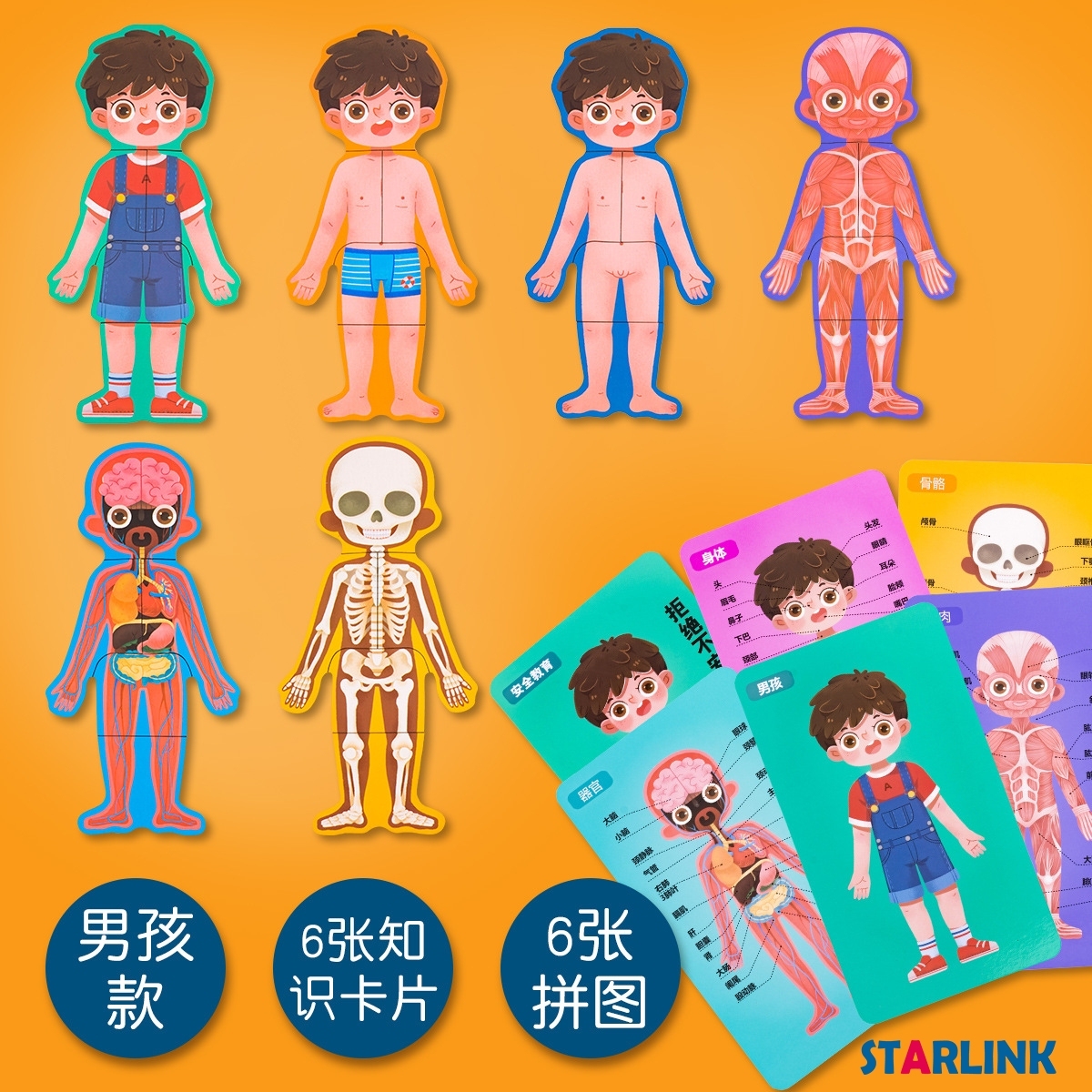 Children Body Cognition Wooden Puzzle Boy Girl Grow up Body Structure Anatomy Jigsaw Puzzles Montessori Toys for Toddlers