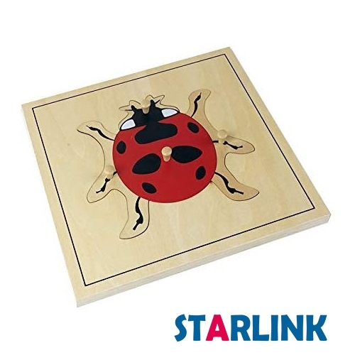 Montessori Materials Educational Tools Insect Ladybug Puzzle Preschool Early Montessori Toys for Toddlers
