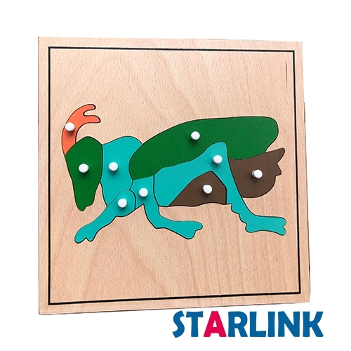 Montessori Materials Educational Tools Insect Cricket Puzzle Preschool Early Montessori Toys for Toddlers