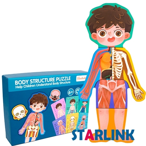 Children Body Cognition Wooden Puzzle Boy Girl Grow up Body Structure Anatomy Jigsaw Puzzles Montessori Toys for Toddlers