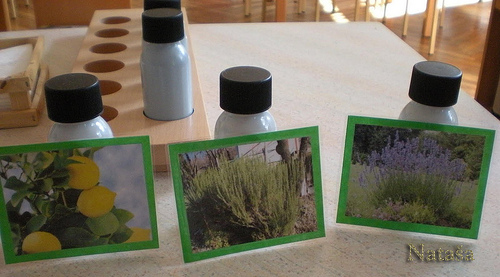 Early Childhood Montessori Kindergarten educational Materials Smelling Boxes