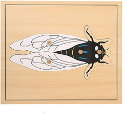 Starlink Wooden Kids Education Baby Montessori Materials Teaching Aids Toys Cicada Puzzle