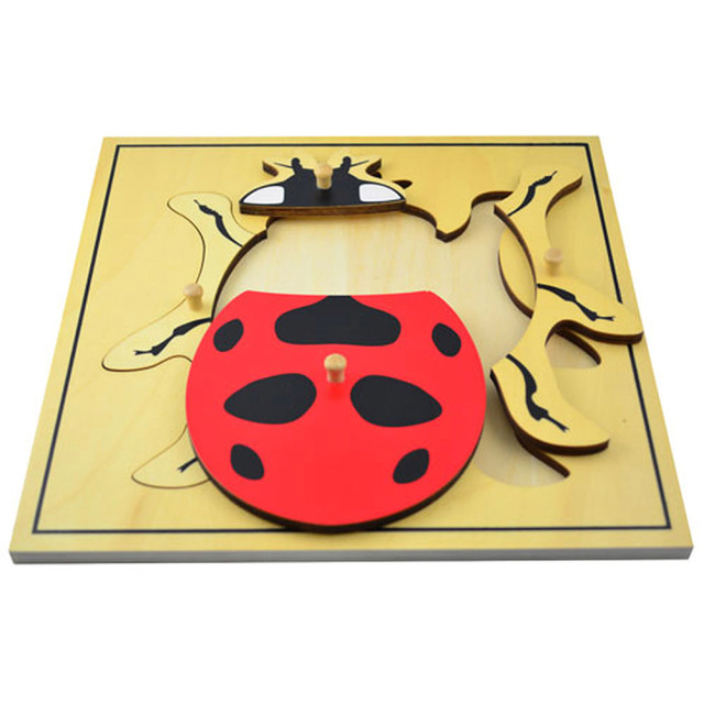 Starlink Biology Education Toys Wood Lacing Toy Montessori Toys Lady Bug Puzzle For Kids
