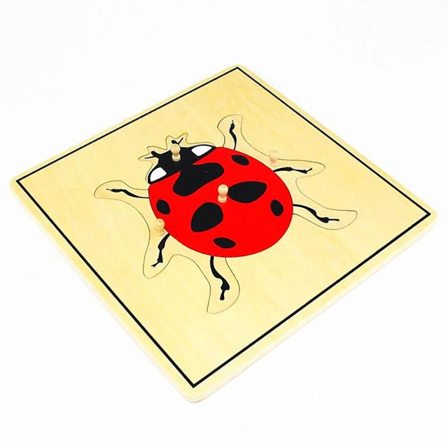 Starlink Biology Education Toys Wood Lacing Toy Montessori Toys Lady Bug Puzzle For Kids