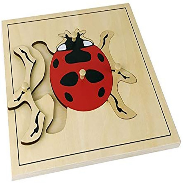 Starlink Biology Education Toys Wood Lacing Toy Montessori Toys Lady Bug Puzzle For Kids
