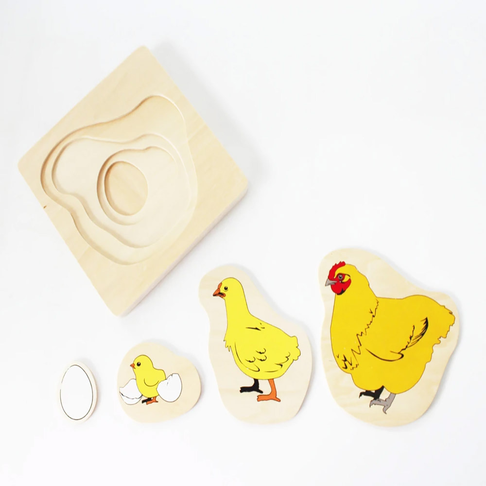 SatarLink Wooden Montessori Kids Baby Toy Infant Toddler Life Cycle Puzzle Of Animals And Humans