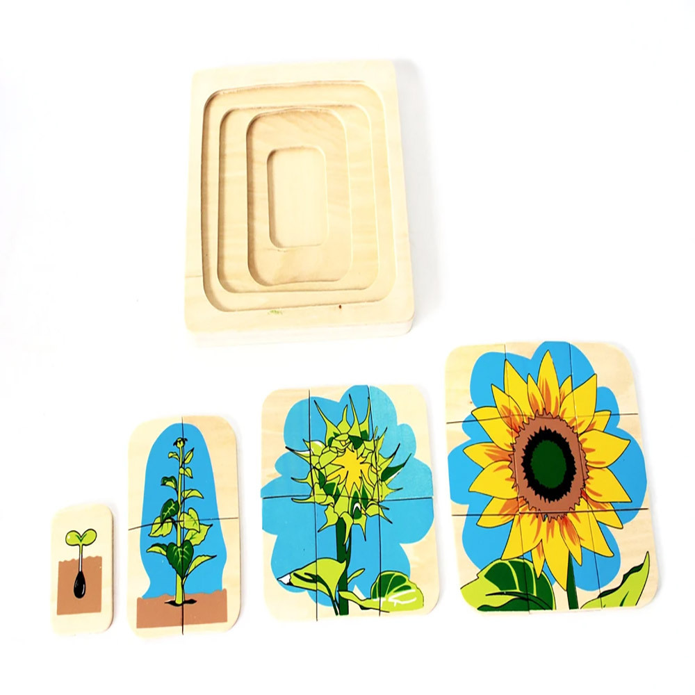 SatarLink Wooden Montessori Kids Baby Toy Infant Toddler Life Cycle Puzzle Of Animals And Humans