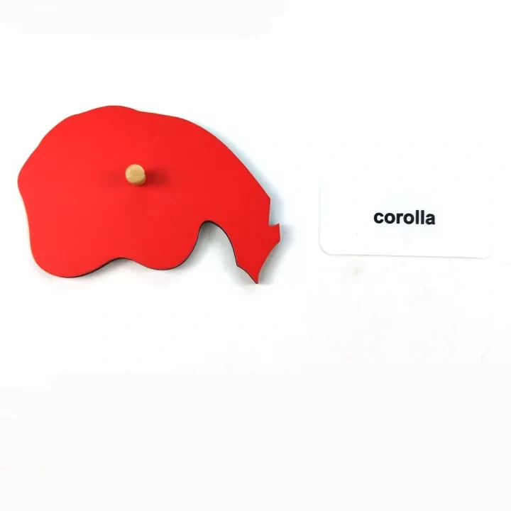 Montessori Wooden Toys for kids Learning Material Biology Teaching Resources Montessori MDF Leaf Puzzle