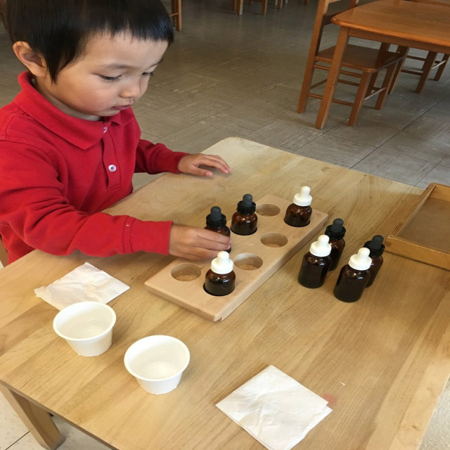 Beech Wood Toy Montessori Educational Sensory Materials Toys For Children Tasting Exercises