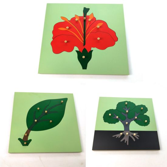 Montessori Wooden Toys for kids Learning Material Biology Teaching Resources Montessori MDF Leaf Puzzle