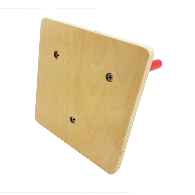 Preschool Wooden Educational Montessori Teaching Material Toddler Toy Colored Discs on Dowels