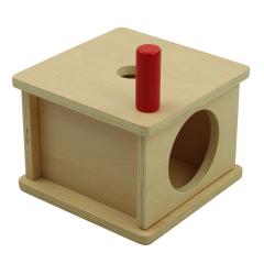 Montessori Infant Materials Toddler Imbucare Box Preschool Learning Toy Educational Wooden Toy