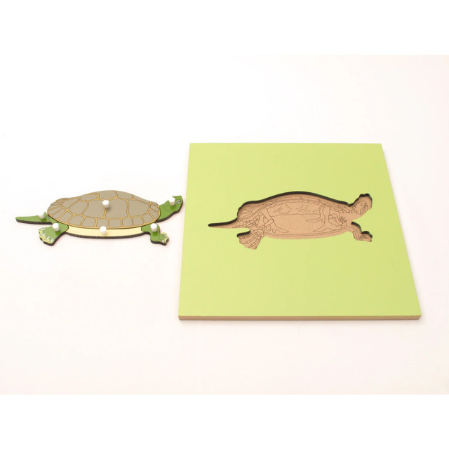 Wooden Toys Puzzles Kids Preschool Toys Animal Turtle Skeleton Jigsaw Puzzle Toys For Kids