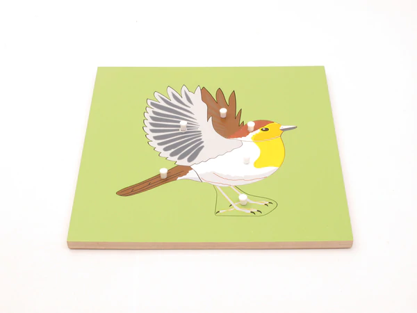 Montessori Educational Toys Toys Baby Early Learning Educational Toys Montessori Bird Skeleton Puzzle