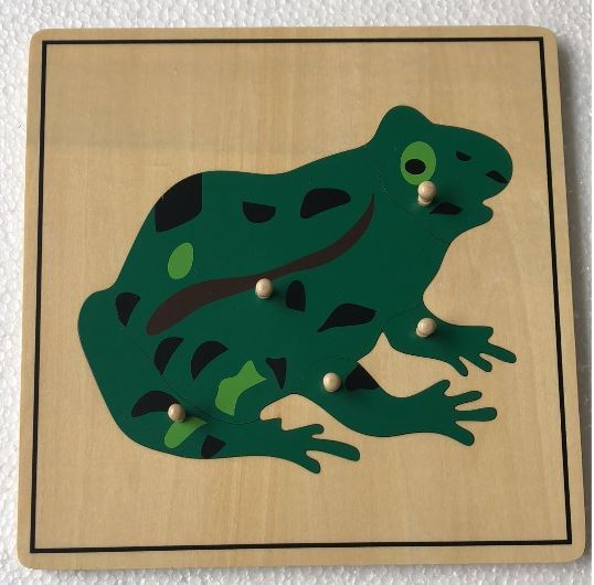 Starlink Custom Kids Wooden Educational Montessori Materials Animal Skeleton Puzzle Toy