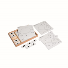 Montessori Educational Toy Plants Animals Card PVC Box Beech Wood Toys Animal Puzzle Activity Set