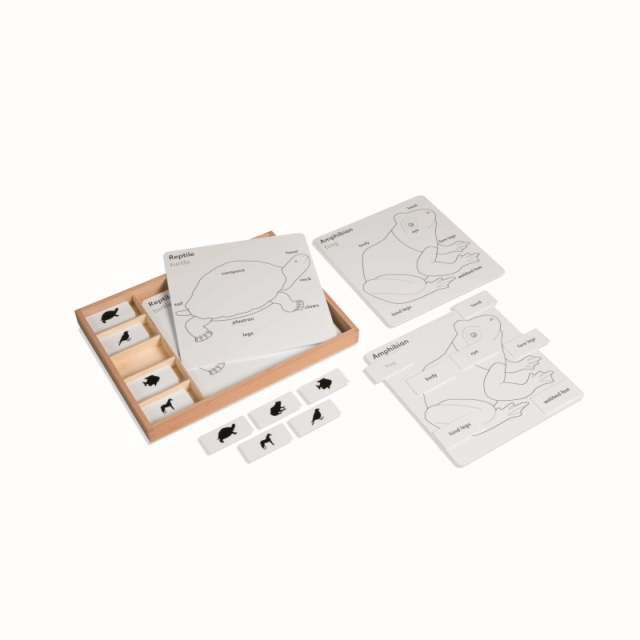 Montessori Educational Toy Plants Animals Card PVC Box Beech Wood Toys Animal Puzzle Activity Set