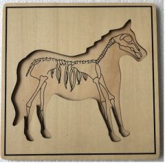 Starlink Custom Kids Wooden Educational Montessori Materials Animal Skeleton Puzzle Toy