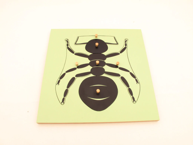 Wooden Toys For Kids Learning Preschool Toys Montessori Materials Mdf Spider Jigsaw Puzzle
