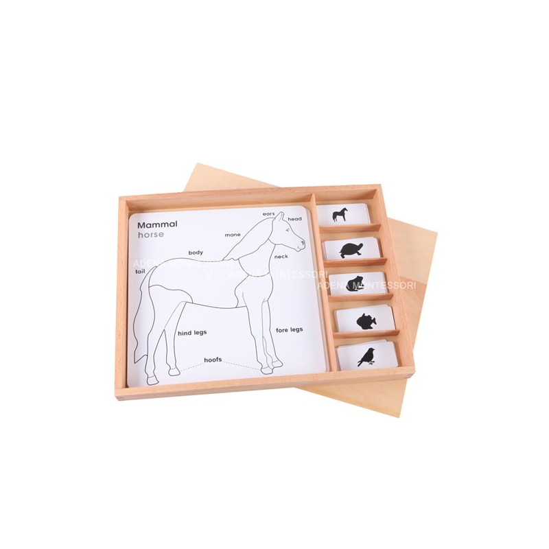 Montessori Educational Toy Plants Animals Card PVC Box Beech Wood Toys Animal Puzzle Activity Set