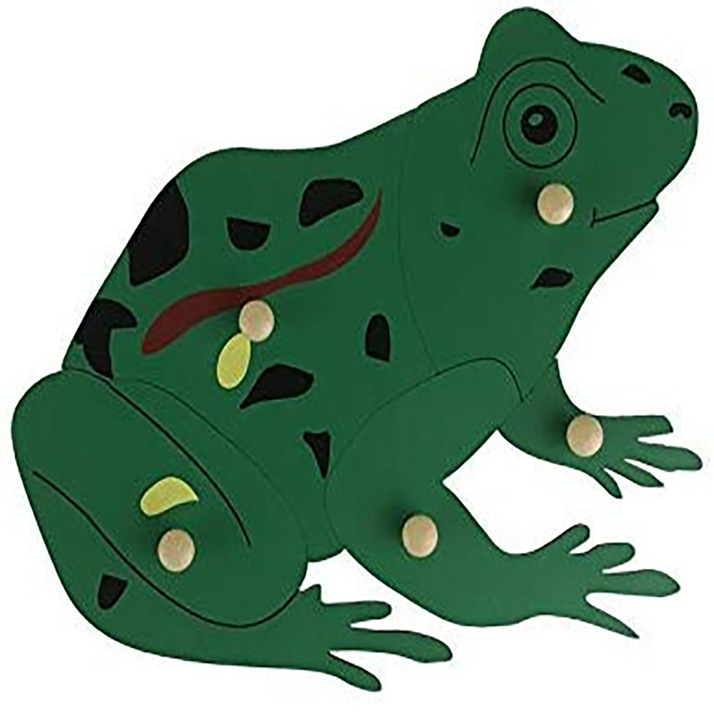 Montessori Wooden Toys For Kids Learning Material Biology Montessori Puzzle Mdf Frog Puzzle