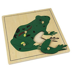 Montessori Wooden Toys For Kids Learning Material Biology Montessori Puzzle Mdf Frog Puzzle