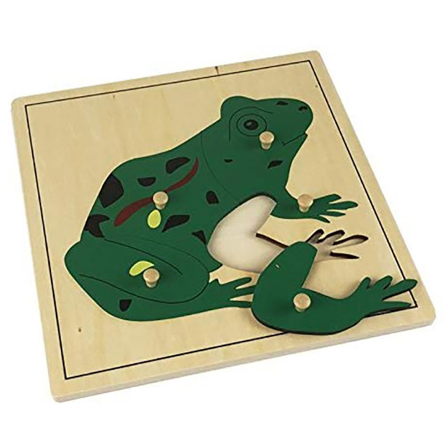 Montessori Wooden Toys For Kids Learning Material Biology Montessori Puzzle Mdf Frog Puzzle