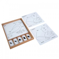Montessori Educational Toy Plants Animals Card PVC Box Beech Wood Toys Animal Puzzle Activity Set