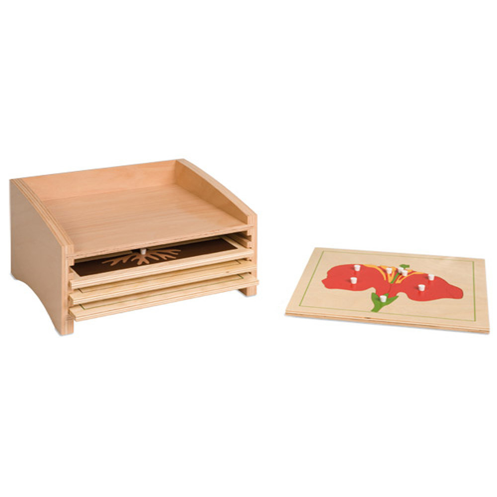 Starlink Baby Montessori Equipment Teaching Aids Materials Toy Botany Puzzle Cabinet