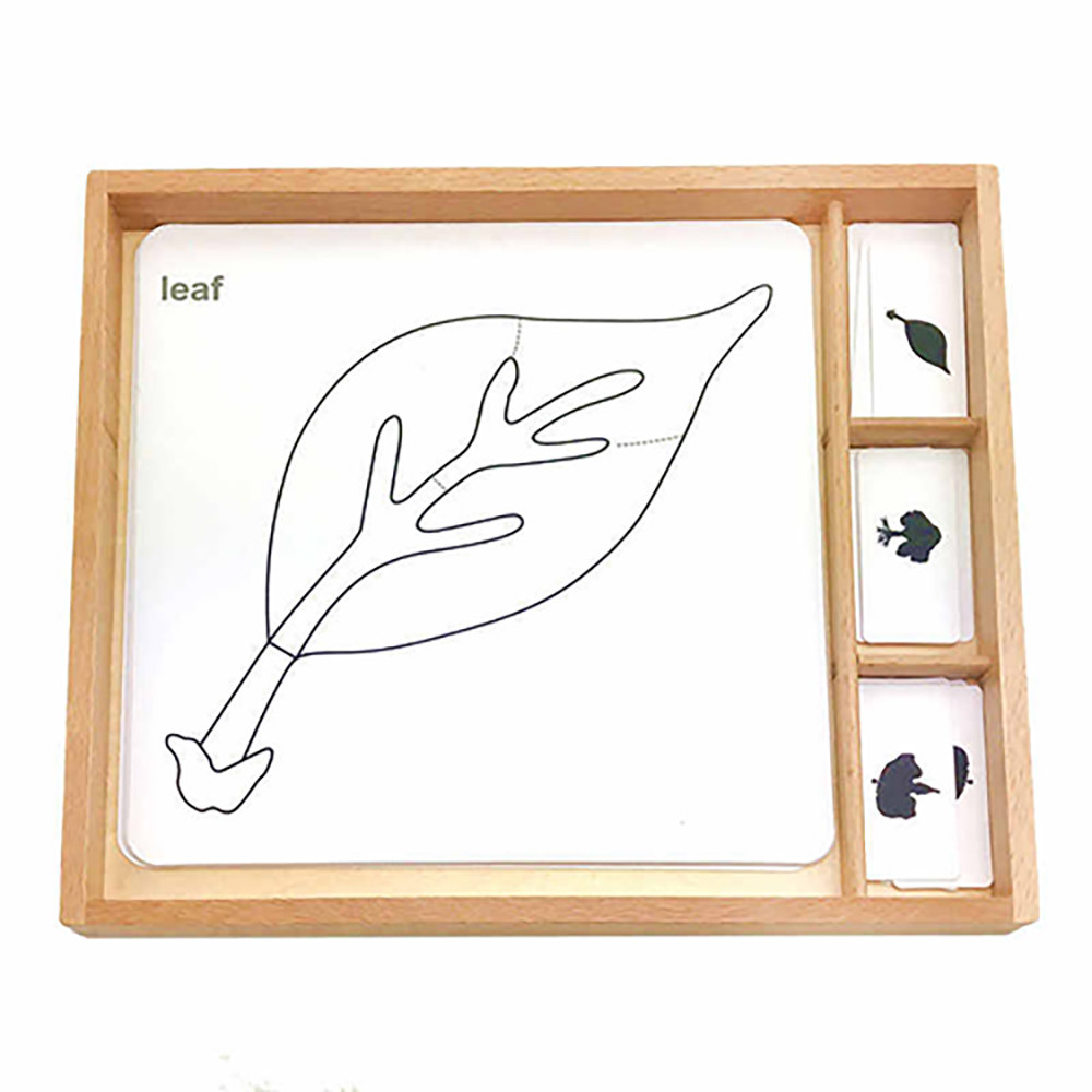 Montessori Biology Botany Materials Educational Nursery Wooden Toy Botany Puzzle Activity Set