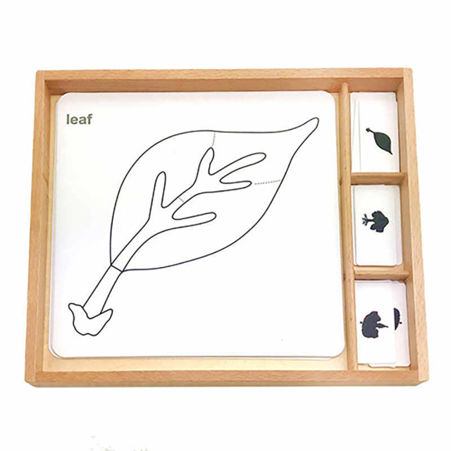 Montessori Biology Botany Materials Educational Nursery Wooden Toy Botany Puzzle Activity Set