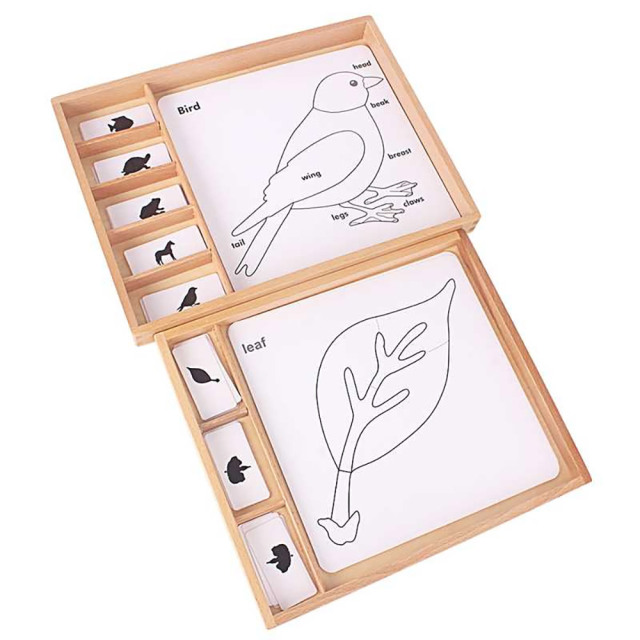 Montessori Biology Botany Materials Educational Nursery Wooden Toy Botany Puzzle Activity Set