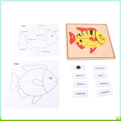 Montessori Biology Botany Materials Educational Nursery Wooden Toy Botany Puzzle Activity Set