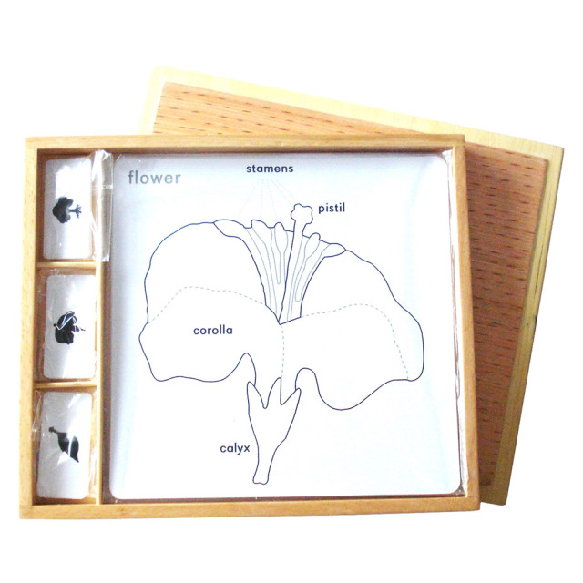 Starlink Early Baby Montessori Set Science Puzzle Botany Toys Botany Puzzle Activity Set