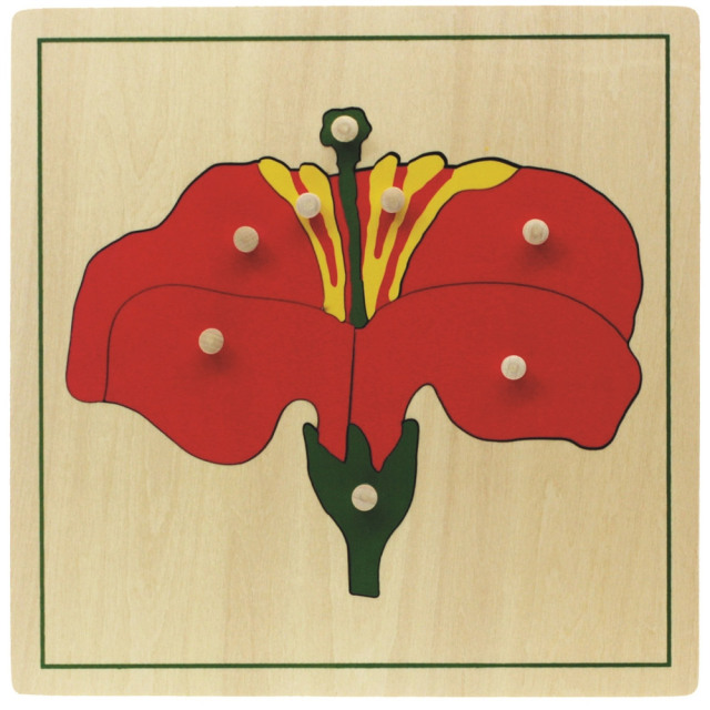 Starlink Most Popular Montessori Teaching Aids Handmade Puzzle Wood Flower Puzzle Montessori Toys