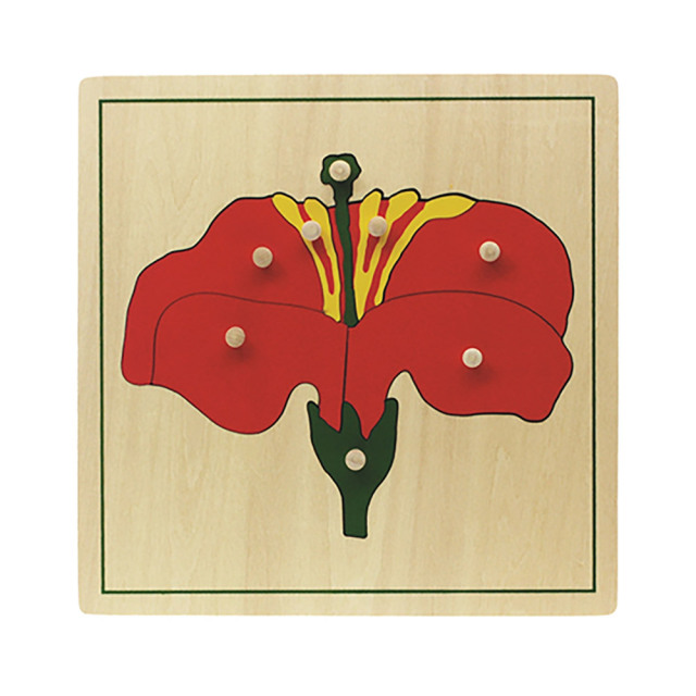 Montessori Materials School Educational Wooden Toys Baby Kids Early Learning Toys Mdf Flower Puzzle