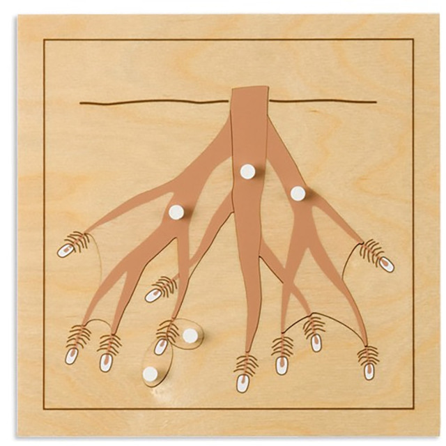 Starlink Wooden Montessori Educational Toys Kindergarten Montessori Toys Root Puzzles