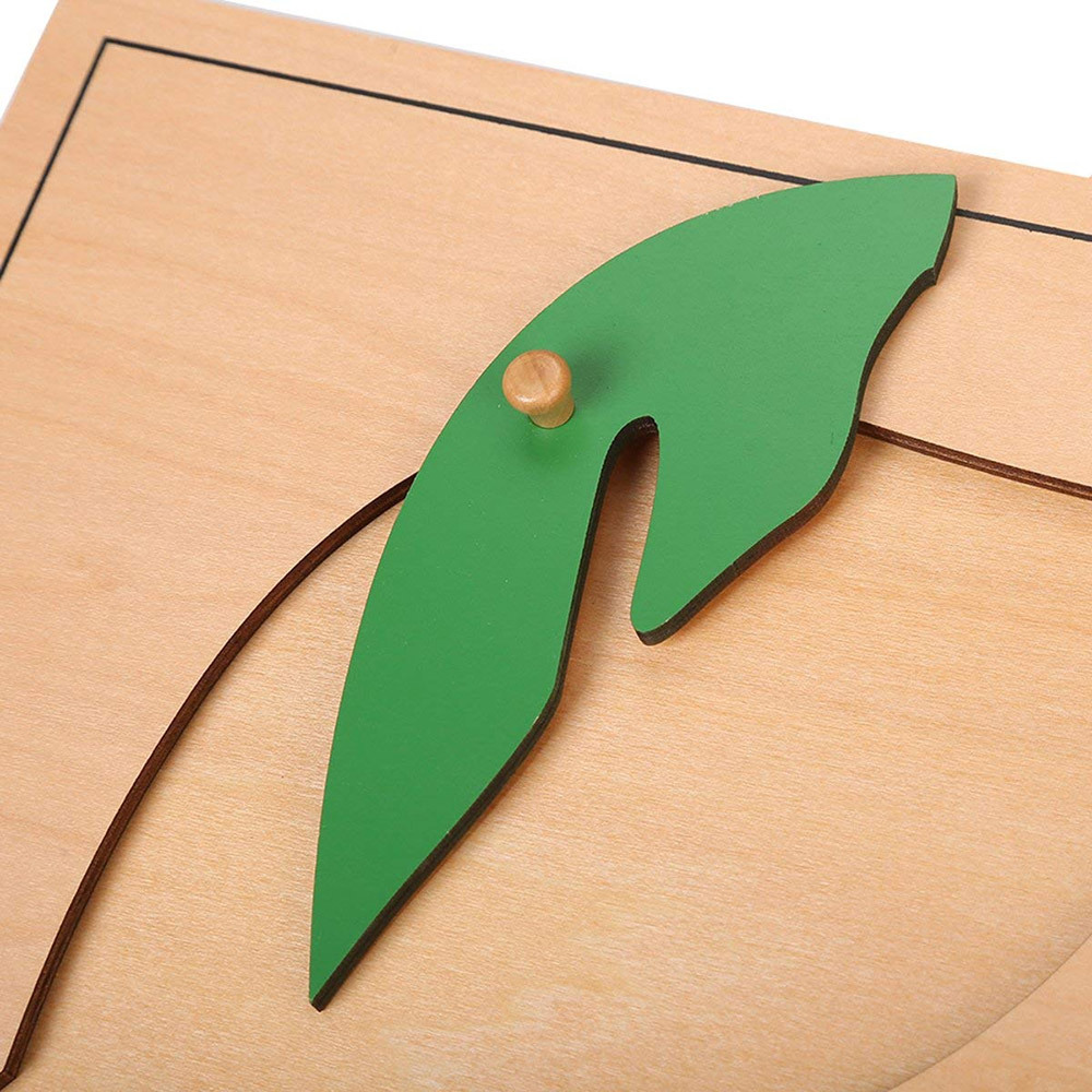 Montessori Materials Wooden Educational Toys Wholesale Montessori Leaf Puzzle For Kindergarten Toys