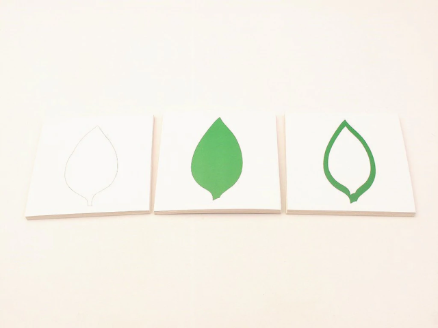 Starlink Montessori Kids Toys Botany Kids Educational Toys Leaf Cards For Kids Learning