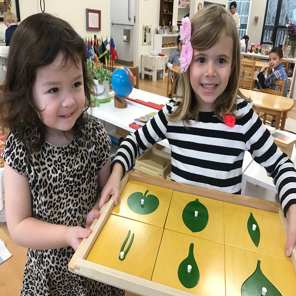 2022 Popular Toys Botany Leaf Cabinet Wooden Kids Toys Montessori With Insets Montessori Wooden Kids Toy Cabinet