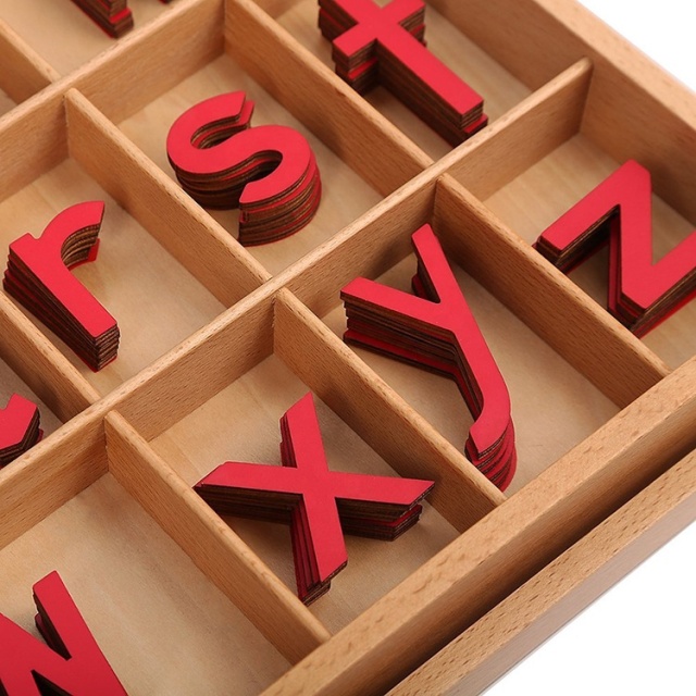Amazon Hot Sell Wooden Montessori Alphabet Letters Small Moveable Alphabet Educational Toys