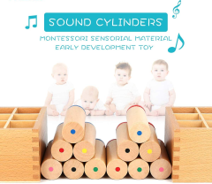 Starlink Early Childhood Montessori Kindergarten Educational Materials Sound Boxes Toys