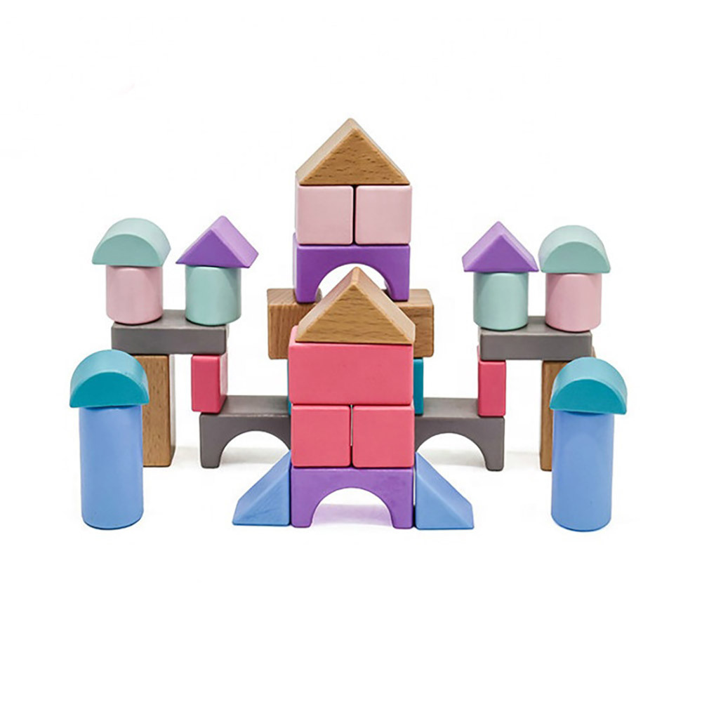Montessori Toy Wooden Building Blocks Early Learning Toys Color Shape Educational Kids Stacked Blocks