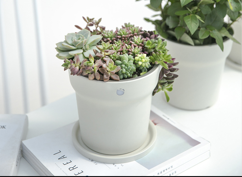 flower pot plastic injection manufacturers