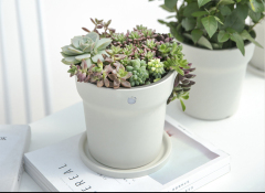 flower pot plastic injection manufacturers