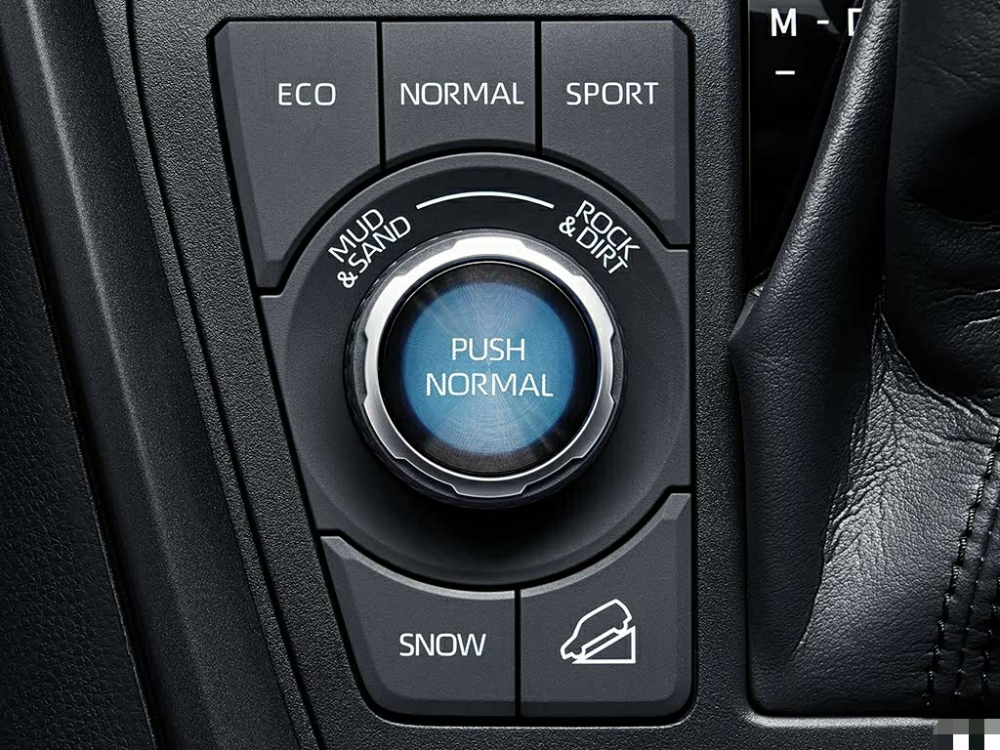 Toyota Wildlander (RAV4) 2.0L FWD Urban Edition SUV Petrol/Gas Fuel Light Interior Rear Camera Naturally Aspirated Engine FWD