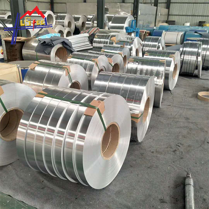 Stainless Steel Strip